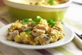 Chicken breast and cauliflower casserole Royalty Free Stock Photo