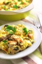 Chicken breast and cauliflower casserole Royalty Free Stock Photo