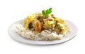Chicken breast and cauliflower casserole with rice Royalty Free Stock Photo