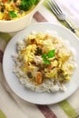Chicken breast and cauliflower casserole with rice Royalty Free Stock Photo