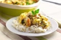 Chicken breast and cauliflower casserole with rice Royalty Free Stock Photo