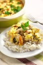 Chicken breast and cauliflower casserole with rice Royalty Free Stock Photo