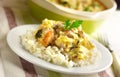 Chicken breast and cauliflower casserole with rice Royalty Free Stock Photo