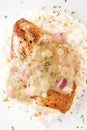 Chicken Breast Fillet with Lemon Thyme Sauce Royalty Free Stock Photo