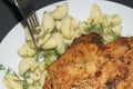 Chicken breast fried with spices, boiled macaroni with herbs and a metal fork with a few macaroni on a white plate Royalty Free Stock Photo