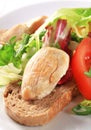 Chicken breast with green salad and bread Royalty Free Stock Photo