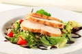 Chicken breast with green salad Royalty Free Stock Photo