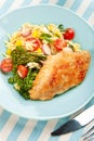 Chicken Breast with pasta salad and broccolini Royalty Free Stock Photo