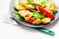 Chicken breast pieces in a Thai red curry sauce made with coconut cream, red chillies, lemongrass, lime leaf, with fragrant rice, Royalty Free Stock Photo