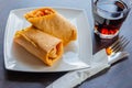 Chicken breast with piri piri sauce and lettuce in a chili tortilla wrap Royalty Free Stock Photo