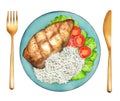 Chicken breast with rice and tomatoes watercolor Royalty Free Stock Photo