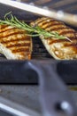 Chicken Breast with rosemary in pan Royalty Free Stock Photo