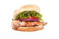 Chicken breast sandwich Royalty Free Stock Photo