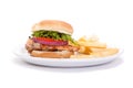 Chicken breast sandwich and French fries Royalty Free Stock Photo