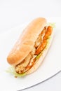 Chicken breast sandwich Royalty Free Stock Photo