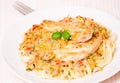 Chicken Breast with spaghetti and vegetable sauce Royalty Free Stock Photo