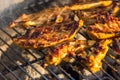 Chicken breast steak placed on the hot grill. Bbq meat on fire, summer weather, grill party with friends Royalty Free Stock Photo