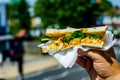 Chicken breast in tikka spices, served with onion bhaji, crisp spinach and crunchy cucumber, all in sandwich Royalty Free Stock Photo