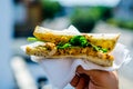 Chicken breast in tikka spices, served with onion bhaji, crisp spinach and crunchy cucumber, all in sandwich Royalty Free Stock Photo