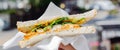 Chicken breast in tikka spices, served with onion bhaji, crisp spinach and crunchy cucumber, all in sandwich Royalty Free Stock Photo