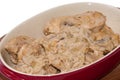 Chicken breasts in cream sauce with mushrooms