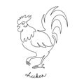 chicken breeding. animal husbandry. livestock. vector illustration on a white background Royalty Free Stock Photo