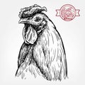 Chicken breeding. animal husbandry. livestock. vector sketch on a white Royalty Free Stock Photo