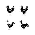 Chicken breeds black glyph icons set on white space