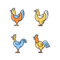 Chicken breeds RGB color icons set