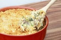 Chicken Broccoli Casserole Royalty Free Stock Photo