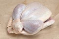 Chicken broiler