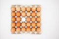 Chicken brown chicken eggs and one white in a carton box isolated on white background from above,top view. Royalty Free Stock Photo