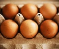 Chicken brown eggs are in a cardboard box bought at a grocery store. Healthy breakfast Royalty Free Stock Photo