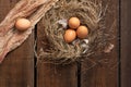 Chicken brown eggs and feathers in a nest of dry grass against the background of a wooden table of boards. Royalty Free Stock Photo