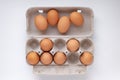 chicken brown eggs in a tray four eggs lie on the roof of the tray