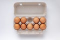 Chicken brown eggs in a tray, no one egg Royalty Free Stock Photo