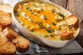 Chicken buffalo dip with blue cheese and greens close-up in a ba Royalty Free Stock Photo