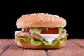 Chicken burger Royalty Free Stock Photo