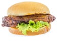 Chicken Burger Royalty Free Stock Photo