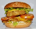 Chicken Burger - Big juicy burger on white background - Rounders