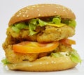 Chicken Burger - Big juicy burger on white background - Rounders