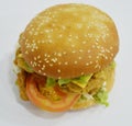 Chicken Burger - Big juicy burger on white background - Rounders