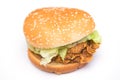 Chicken burger fast food for eat Royalty Free Stock Photo