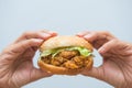 Chicken burger fast food for eat Royalty Free Stock Photo