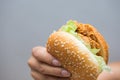 Chicken burger fast food for eat Royalty Free Stock Photo