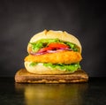 Chicken burger Fast Food Royalty Free Stock Photo