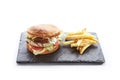 Chicken Burger with French Fries Garnish Royalty Free Stock Photo