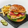 Chicken Burger with French Fries Garnish Royalty Free Stock Photo
