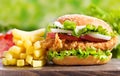 Chicken burger with french fries Royalty Free Stock Photo