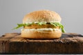 Chicken burger with fresh iceberg lettuce on wooden board, front view Royalty Free Stock Photo